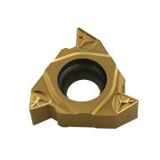 RT22.01N-5.00GM-YBG201 Пластина резьбовая ISO (Метрическая резьба полный профиль 60°)